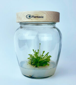 Kosmítko Adélka DeLux